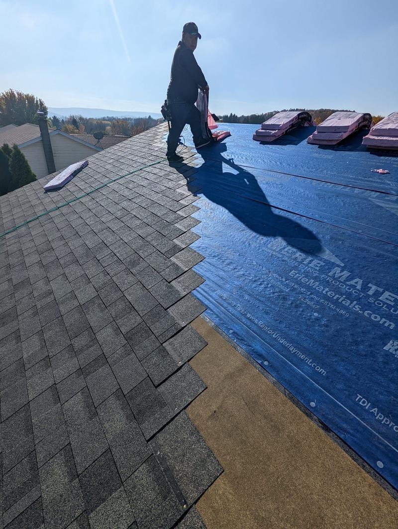 Rail Roofing Group project in Washington County PA — photo 4